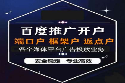 SEM主管实战：案例分析与优化策略